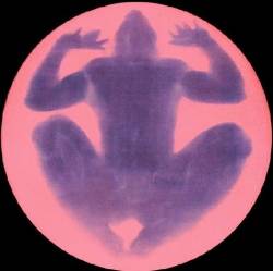 From The Torrent And The Fountain : Purusha Sukta